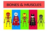 Bones and muscles superheroes