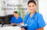 Marijuana Doctors in Florida-cbd-docs.com