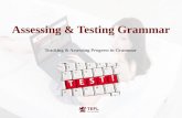 Assessing & Testing grammar