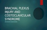 Brachial plexus injury and Thoracic outlet syndromes