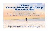 The One-Hour-A-Day Formula
