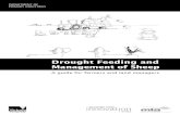 Drought Feeding and Management of Sheep - Wool