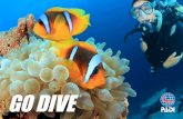 Go Dive® brochure