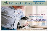 North Bay Pets Winter 2013
