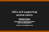 AECs and supporting animal carers