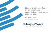 Gimme shelter: Tips on protecting proprietary and open source code