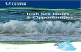 Irish Sea Issues & Opportunities