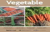 Vegetable Production Handbook for Florida