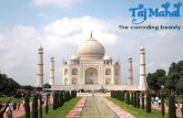 Taj Mahal - The corroding beauty