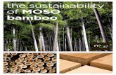 the sustainability of MOSO bamboo