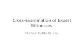 Cross Examination of Expert Witnesses