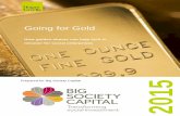 Going for Gold: How golden shares can help lock in mission for ...