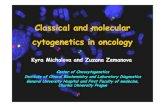 (Microsoft PowerPoint - Classical and molecular cytogenetics in ...