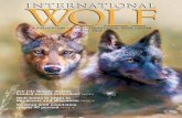 Are Isle Royale wolves headed toward extinction? PAGE4 Wolf ...