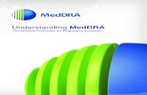 Understanding MedDRA