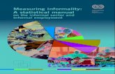 Measuring informality: A statistical manual on the informal sector
