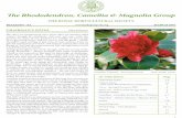 The Rhododendron, Camellia e'f Magnolia Group