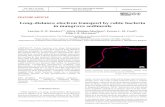 Long-distance electron transport by cable bacteria in mangrove ...