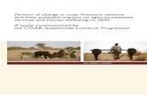 Drivers of change in crop–livestock systems and their potential ...