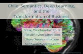 Chile: Semantics, Deep Learning, and the Transformation of Business