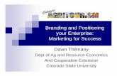 Branding and Positioning your Enterprise: Marketing for Success