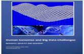 Human Genomes and Big Data Challenges