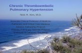 Chronic Thromboembolic Pulmonary Hypertension from Nick H.Kim