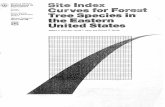 Site Index Curves