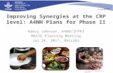 A4NH Presentation for MAIZE Phase II Meeting