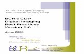 BCR's CDP Digital Imaging Best Practices Version 2.0