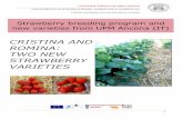 Cristina and Romina two new strawberry varieties