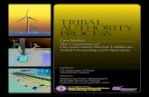 Tribal Authority Process Case Studies: The Conversion of On ...