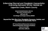 Enhancing Channel and Floodplain Connectivity: Improving ...