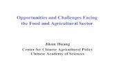 Opportunities and Challenges Facing the Food and Agricultural Sector