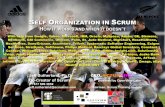 Self Organization in Scrum Google 5 Sept 08 Version 2.pdf