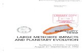 LARGE METEORITE IMPACTS AND PLANETARY EVOLUTION