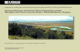 Geomorphology and Flood-Plain Vegetation of the Sprague and ...