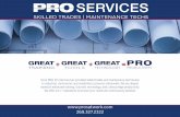 Pro Services, Inc. Brochure