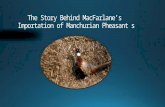 The Story Behind MacFarlane Pheasant's Importation of Manchurian Pheasants