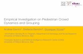 Empirical investication on pedestrian crowd dynamics and grouping