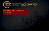 Micro Crypto Business Presentation
