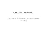 Urban farming 4