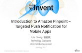 Introducing Amazon Pinpoint – Targeted Push Notifications for Mobile Apps
