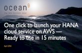 HANA on AWS in 15 min and up to 4 TB - That is ocean9 for SAP HANA