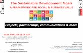 The SDGs: A framework for social and business value