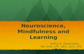 Neuroscience, Mindfulness and Learning