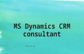 Ms dynamics crm consultant