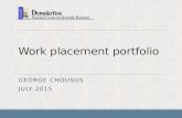 Work placement portfolio