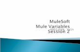 Mule soft mule_variables_session2