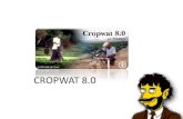 CROPWAT 8 - thematrix.it 6/0601 CropWat... · CropWat is a decision support system developed by FAO, having as main functions •to calculate: reference evapotranspiration, crop water